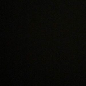 Meet your Posher, Brittney